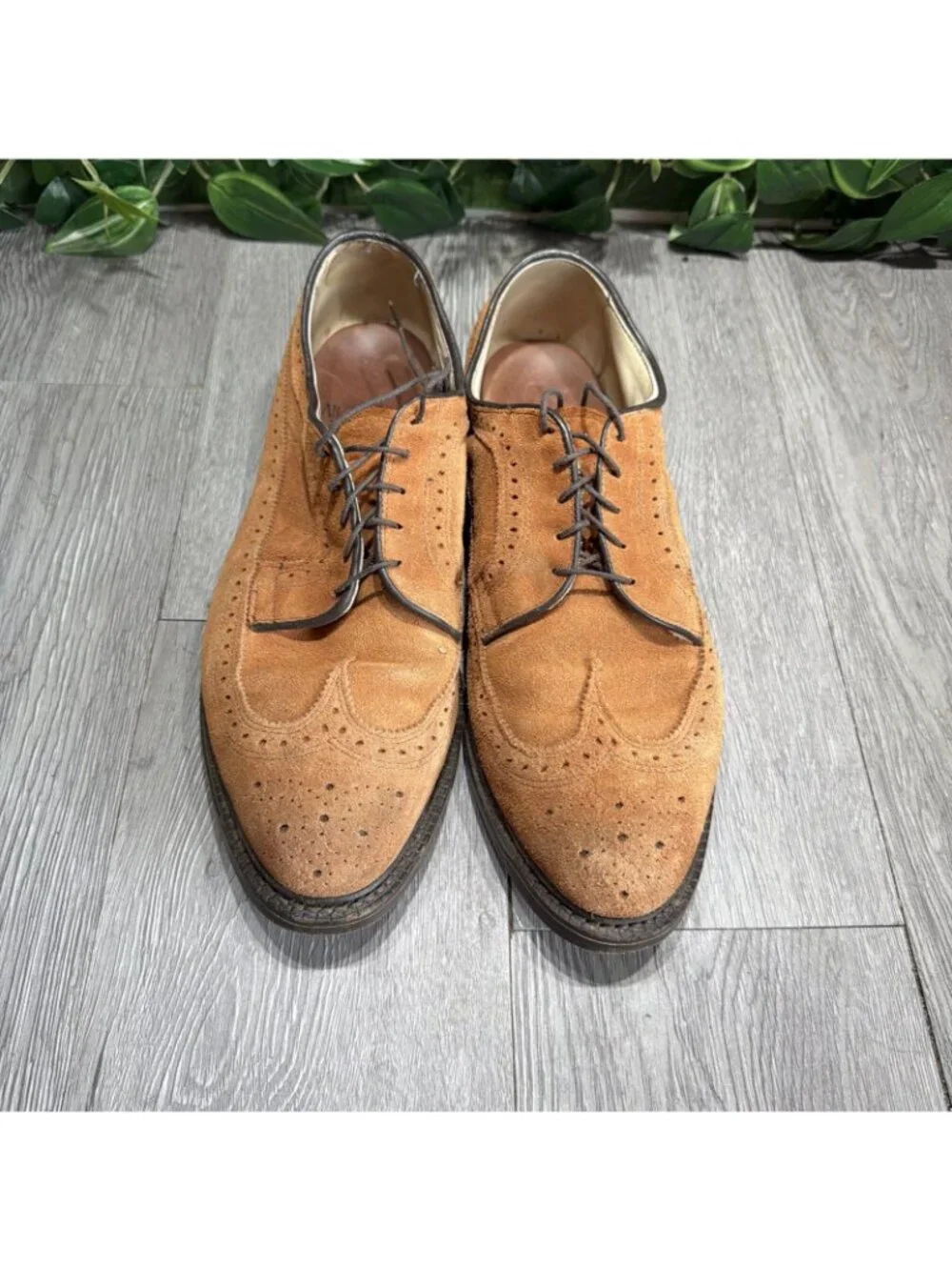 Allen Edmonds Schautel Brown Suede McNeil Wingtip Dress Shoes Men Sz 9.5 D USA